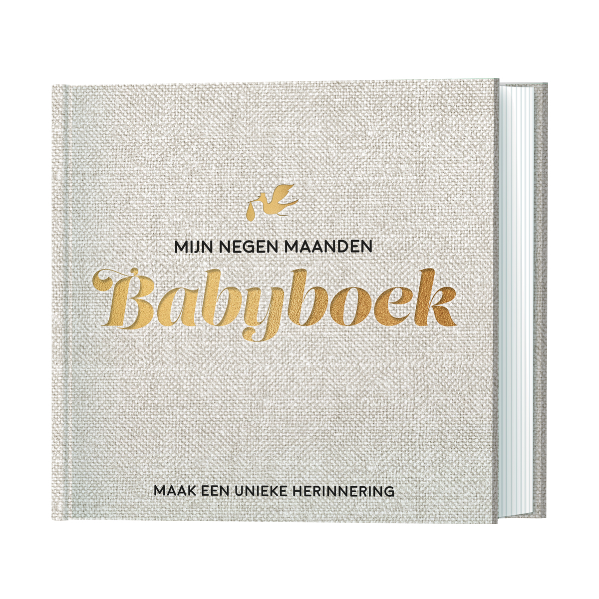 Lantaarn | Mijn negen maanden babyboek