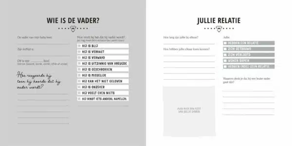 Lantaarn Mijn negen maanden babyboek invulling