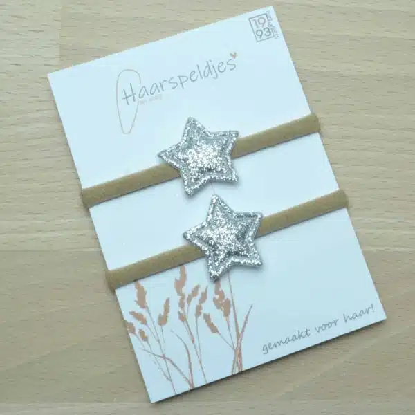 Haarelastiekjes Sterre zilver by 1993