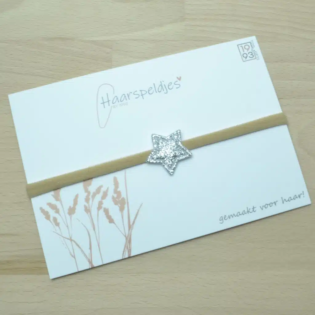 Elastieken haarbandje Sterre zilver by 1993 - zilveren ster