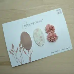 Babyhaarspeldjes antislip haarspeldjes Floor 3 stuks